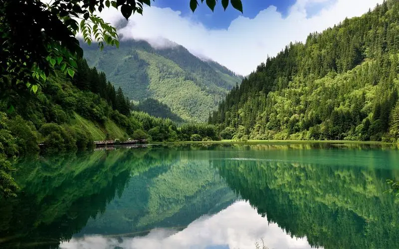 高端智能